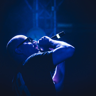 Artist Icon